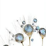 SAGE Statistics eBook Enhanced Typesetting English Edition-0