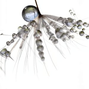 SAGE Statistics Book Kindle Edition English 256 Pages-0