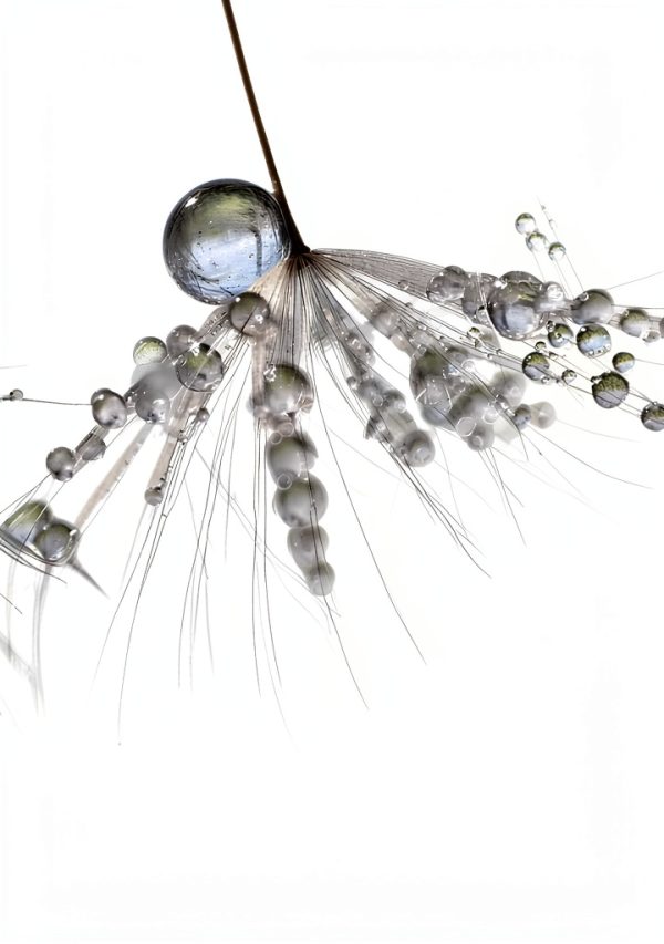 SAGE Statistics Book Kindle Edition English 256 Pages-0