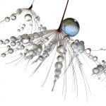 SAGE Statistics Textbook 3rd Edition Digital English-0