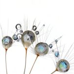 SAGE Publications Statistics Book 3rd Edition English Kindle-0